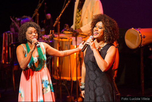 Rosa de Ouro – 50 Anos