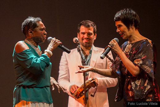 Rosa de Ouro – 50 Anos